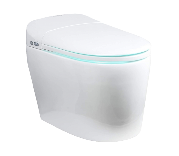 Euroto 3858 - 2021 New One-Piece Dual Flush Toilet with Integrated Bidet, Integrated Bidet and Toilet EUT3858