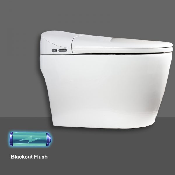 Euroto 3858 - 2021 New One-Piece Dual Flush Toilet with Integrated Bidet, Integrated Bidet and Toilet EUT3858 - Image 5